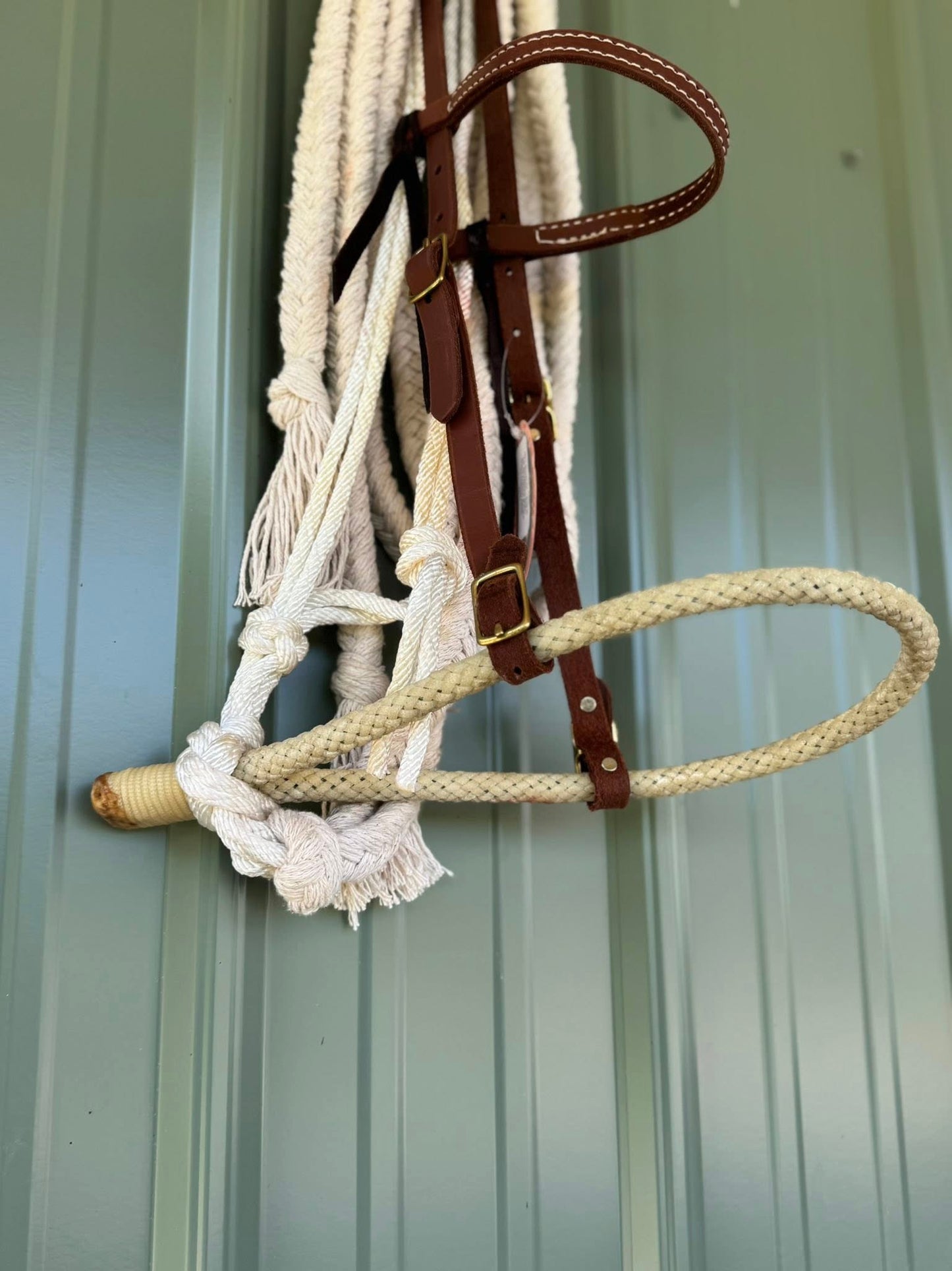 Browband Bosal Hack Set with rawhide braided bosal, oiled leather 5/8 inch headstall, and 14 foot cotton reins. Fits average Quarter Horse. Handcrafted in the USA by HR Saddlery.