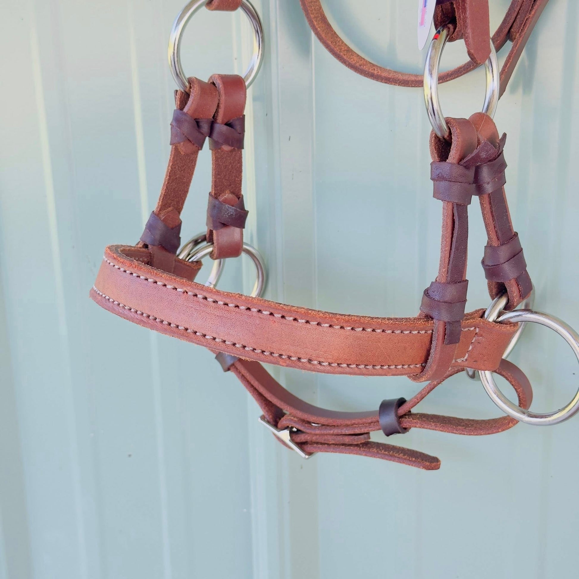Close-up of leather noseband on HR Saddlery bitless side pull bridle