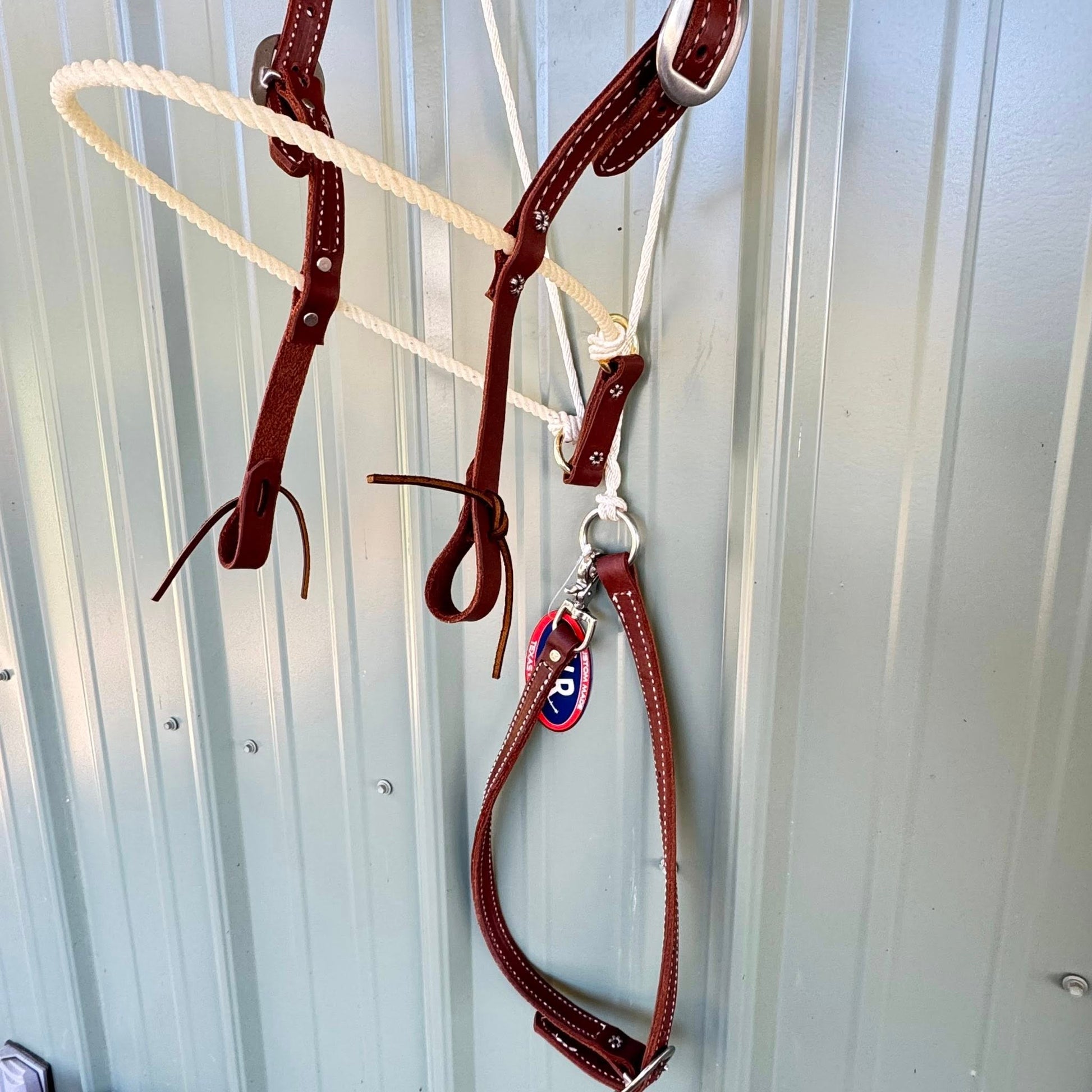 Close-up of noseband and stainless hardware