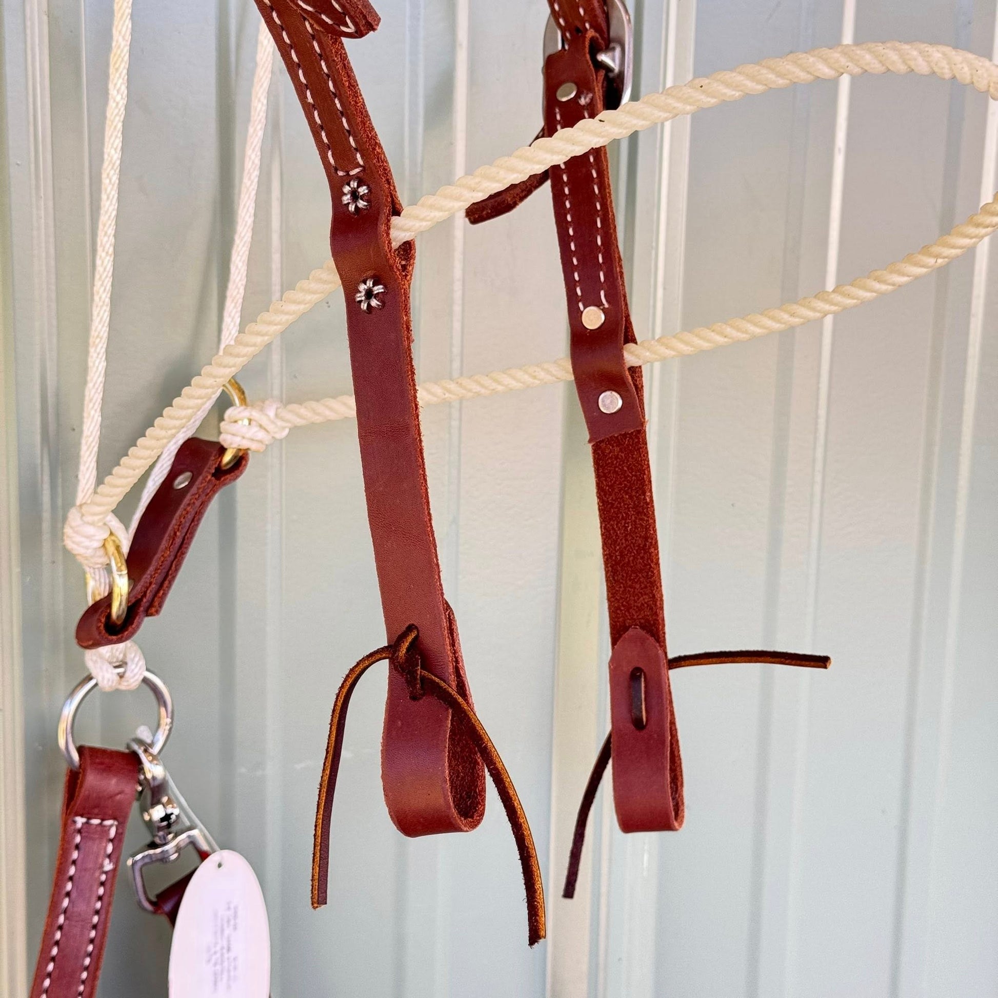 Close-up of noseband and stainless hardware