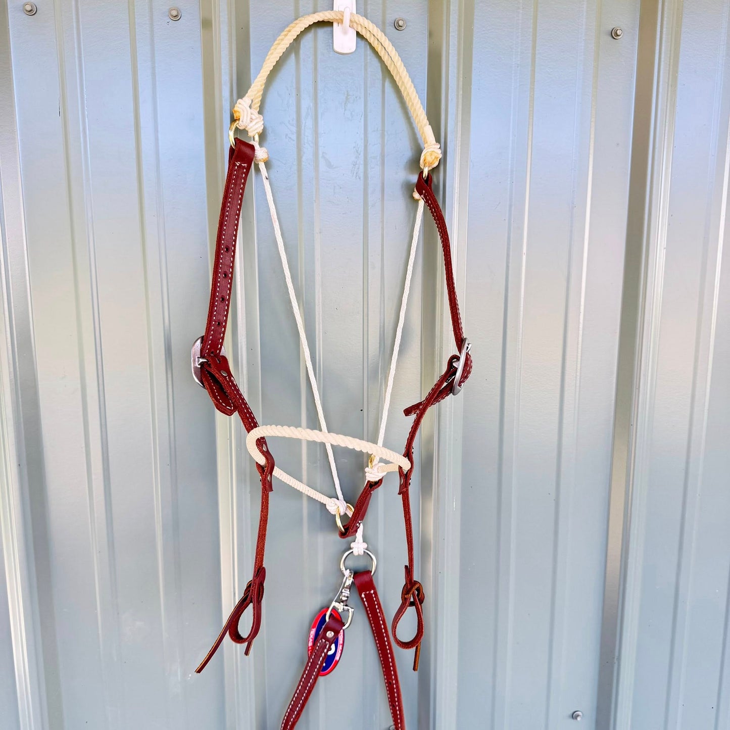 HR “Game Stopper” combo headstall with tie down strap – front view