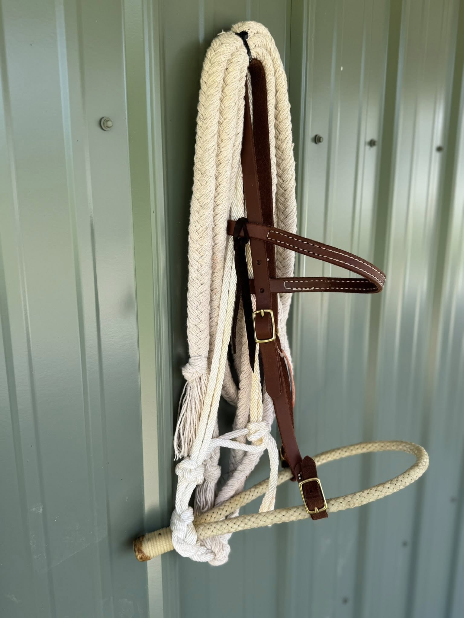 Browband Bosal Hack Set with rawhide braided bosal, oiled leather 5/8 inch headstall, and 14 foot cotton reins. Fits average Quarter Horse. Handcrafted in the USA by HR Saddlery.