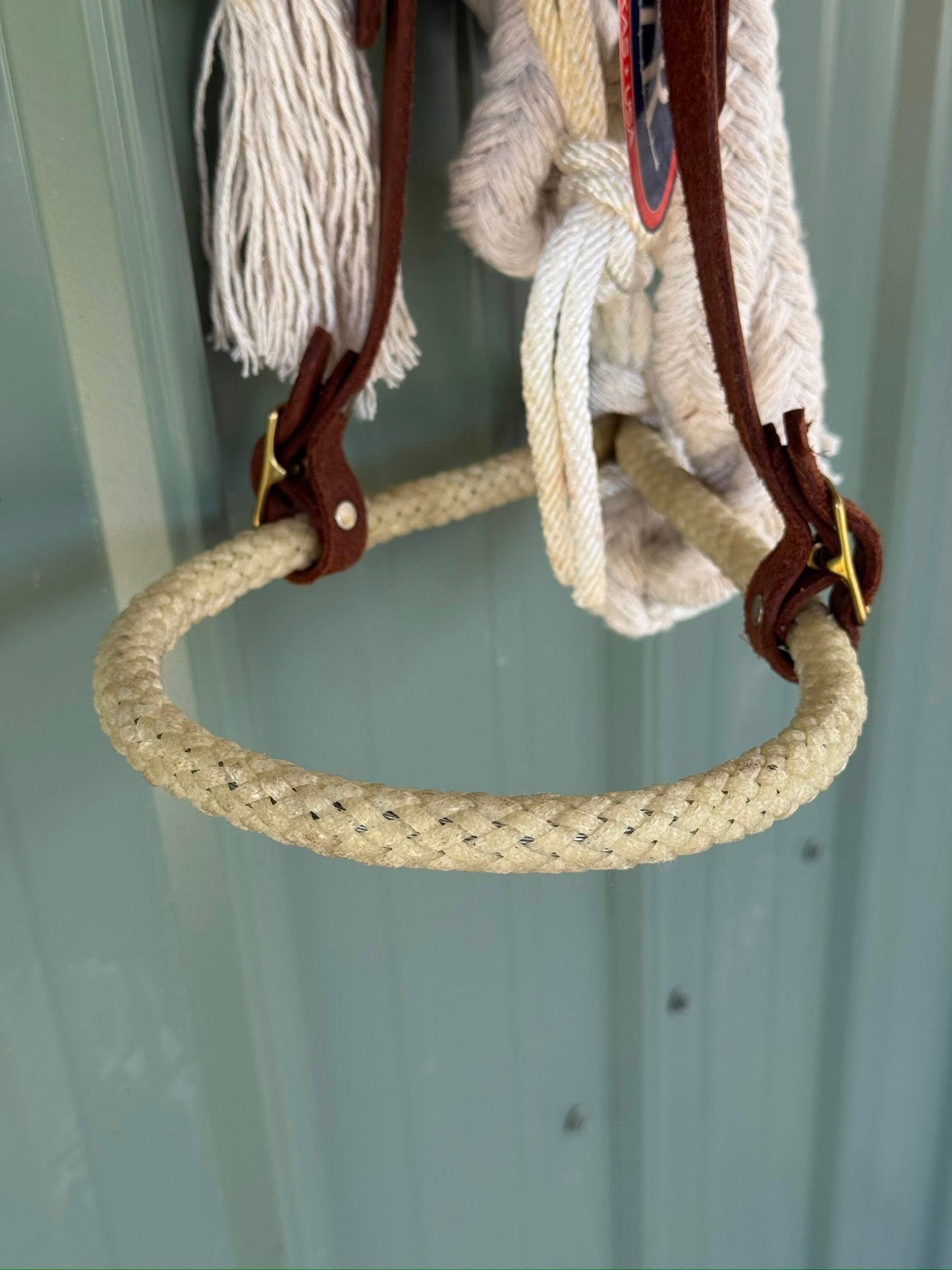 Bosal Hack for Western riding