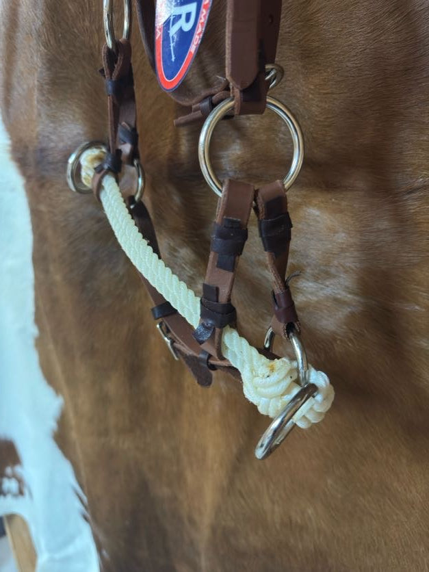 Double Rope Side Pull Headstall | Training Tack, Oiled Leather, Stainless Hardware