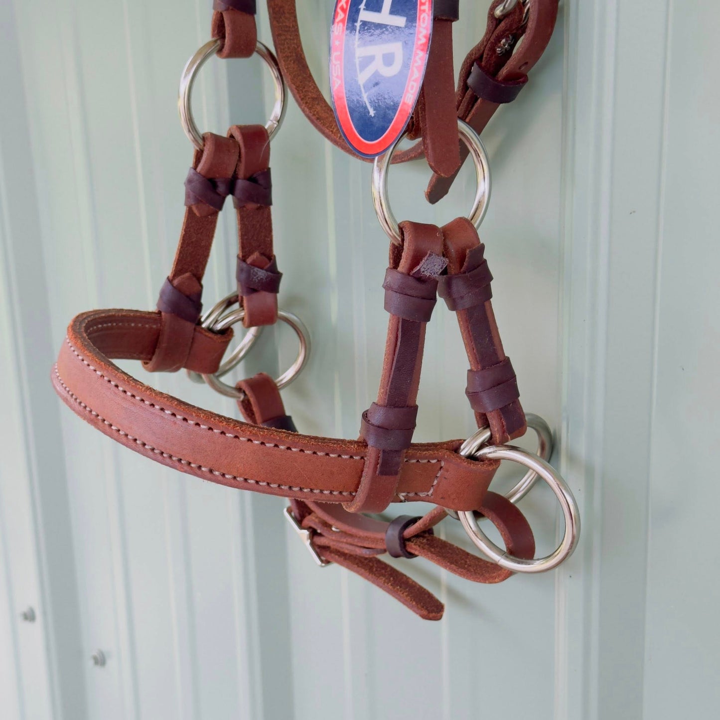 Close-up of leather noseband on HR Saddlery bitless side pull bridle