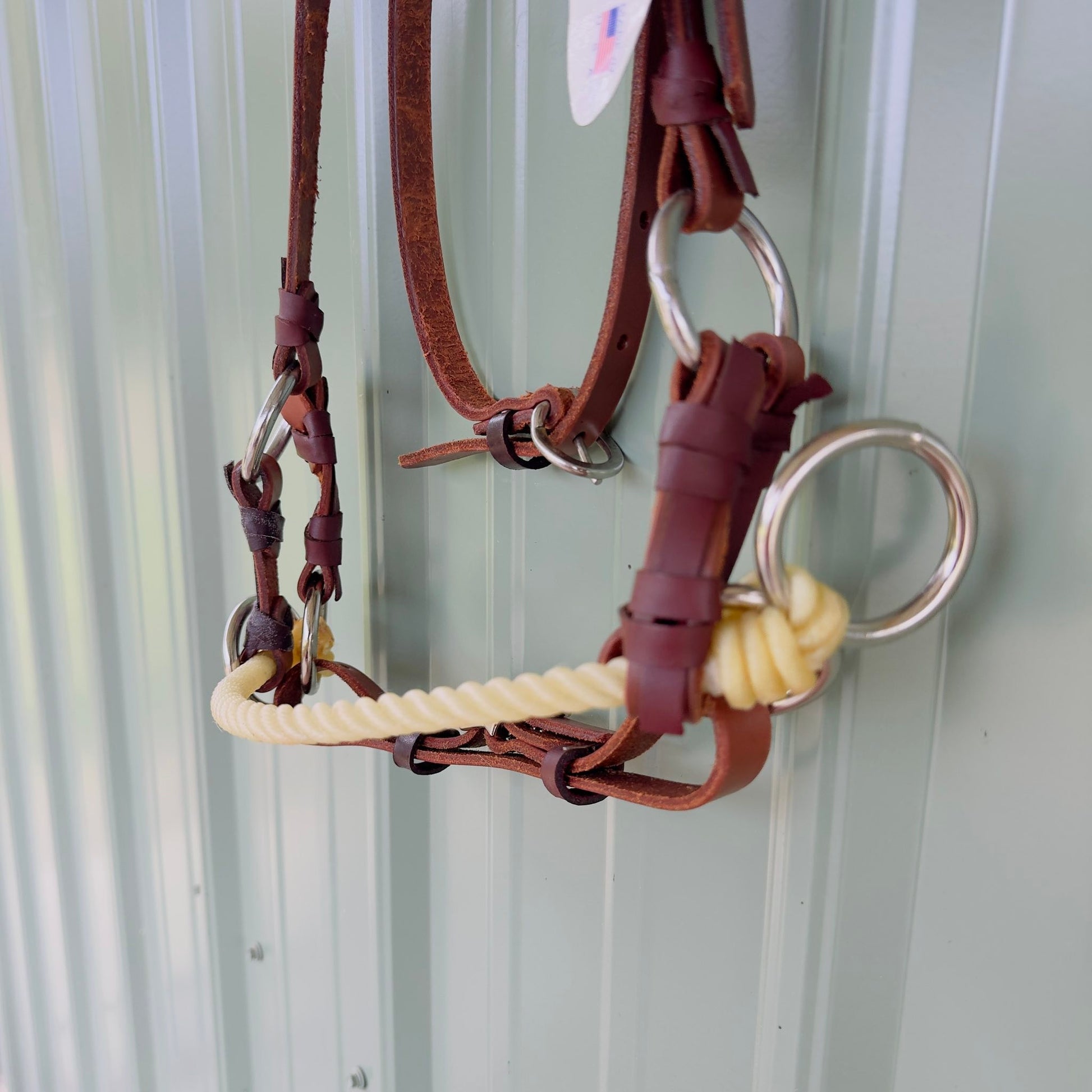 Single rawhide noseband