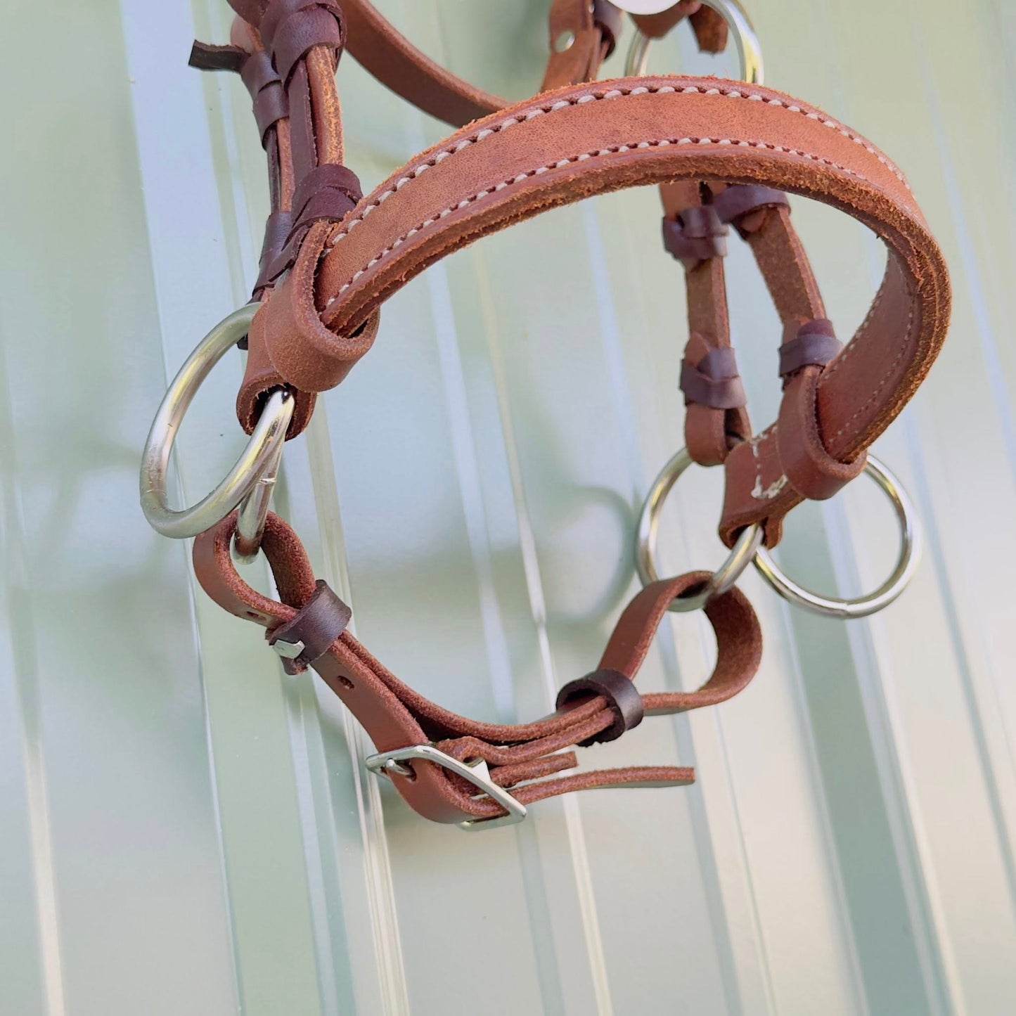 Close-up of leather noseband on HR Saddlery bitless side pull bridle